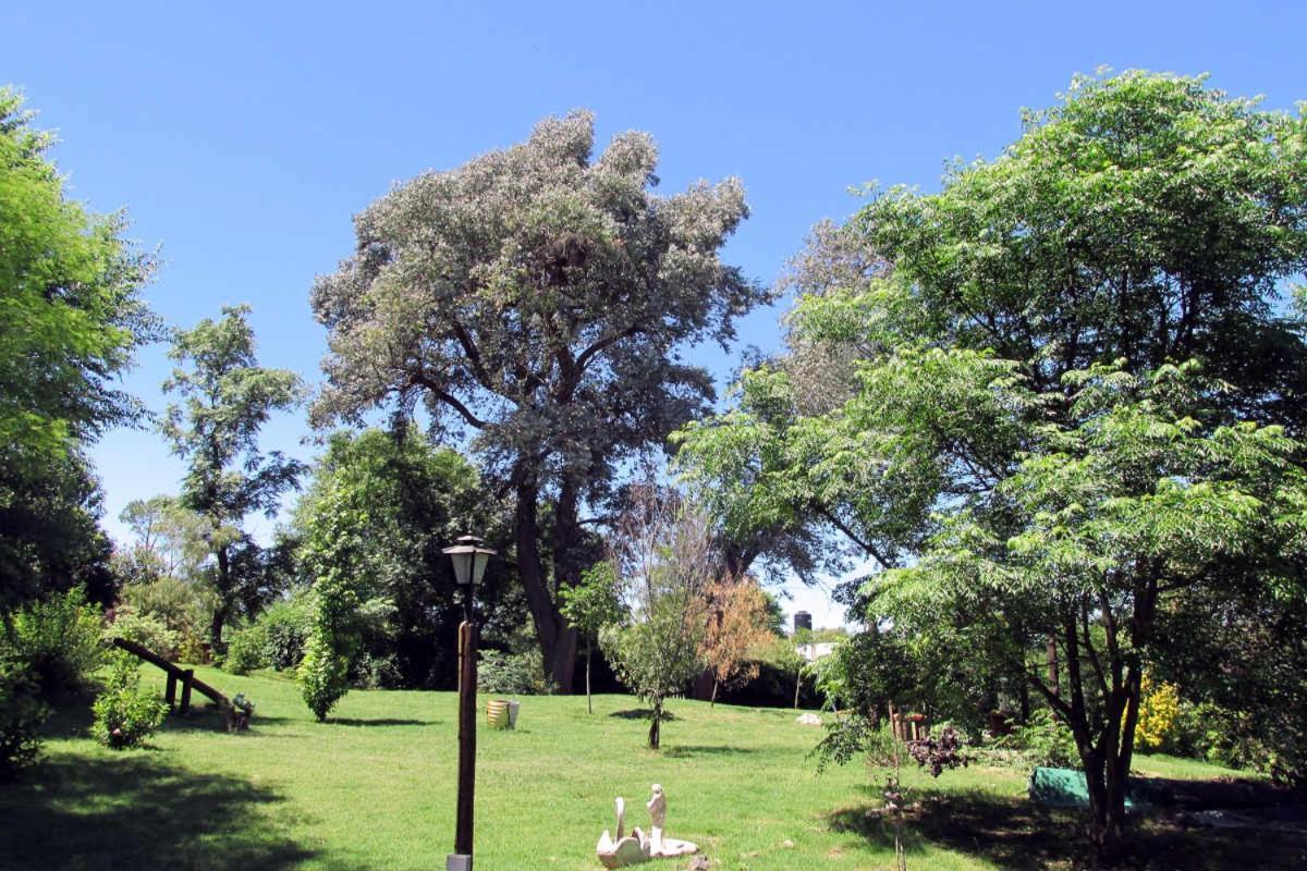 Luna Cautiva Santa Rosa de Calamuchita Ngoại thất bức ảnh